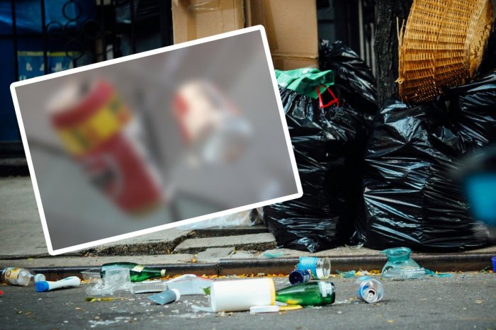 Ilustračný obrázok k článku Tak toto mu nevyšlo: Zamestnanec múzea si pomýlil exponát s ODPADOM a vyhodil ho!