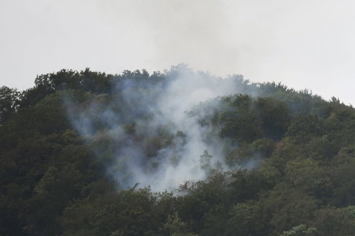 Ilustračný obrázok k článku Výstavba má potrvať 5 mesiacov. V košických lesoch pribudnú dve protipožiarne vodné nádrže