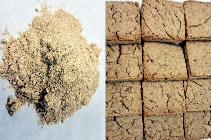 Ilustračný obrázok k článku SPU vyrobila špeciálne SUŠIENKY: Sú z HLIVY ustricovej