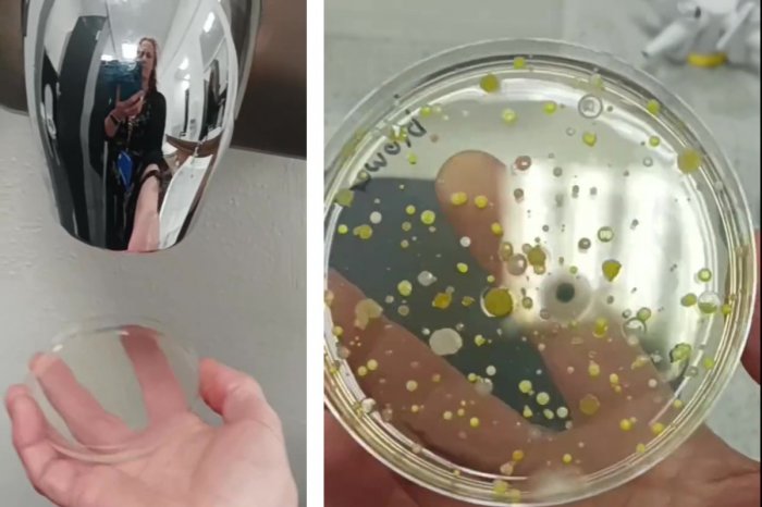 Ilustračný obrázok k článku NECHUTNÉ výsledky pokusu: Vedkyňa ukázala, prečo NEPOUŽÍVAŤ sušiče rúk na toaletách