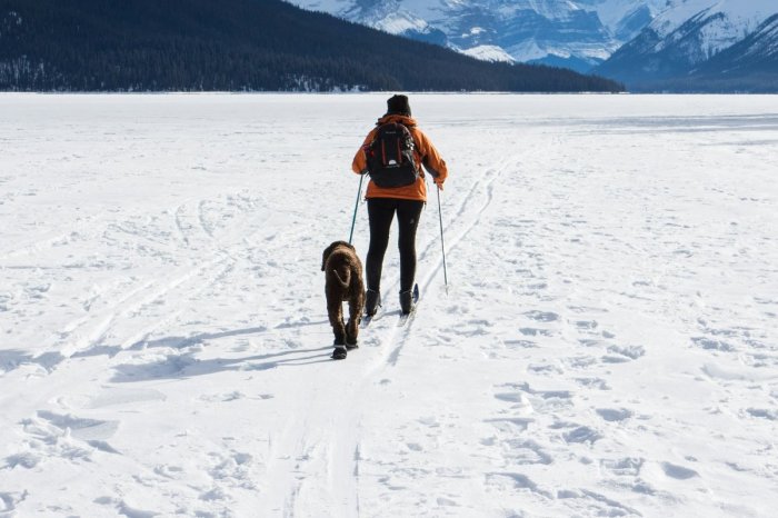 Ilustračný obrázok k článku Otec nechal syna v aute a vyrazil na lyže: Chlapček (5) BEZ bundy blúdil po zasneženom poli
