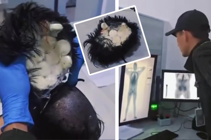 Ilustračný obrázok k článku KURIÓZNY pokus pašeráka: Drogy ukrýval priamo pod TUPÉ! VIDEO