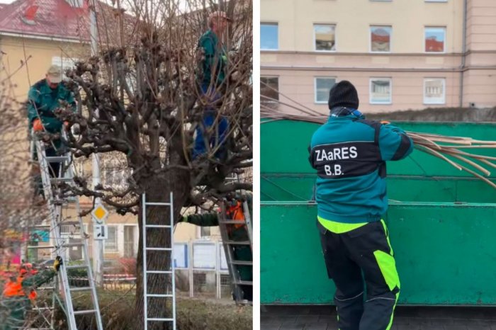 Ilustračný obrázok k článku V Bystrici sa rozbehli JARNÉ práce: Ošetrenie čaká kríky aj stromy, VIDEO