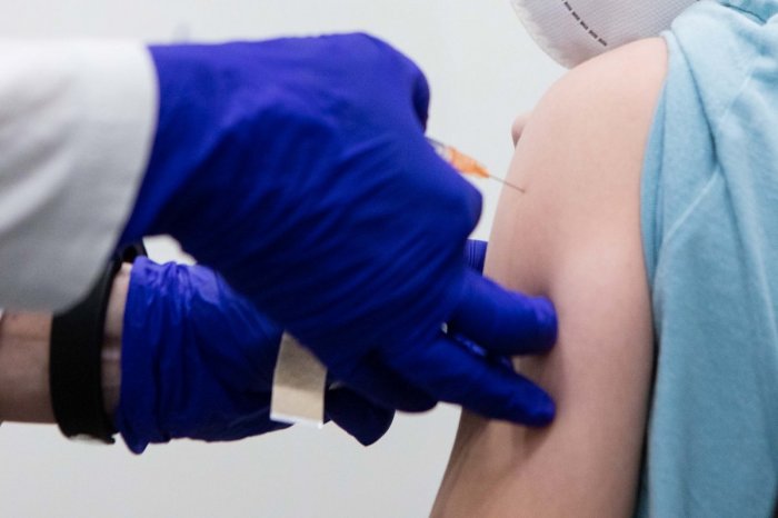 Ilustračný obrázok k článku Ovčie kiahne sú na VZOSTUPE! Prípadov nákazy pribúda: Riešením je očkovanie