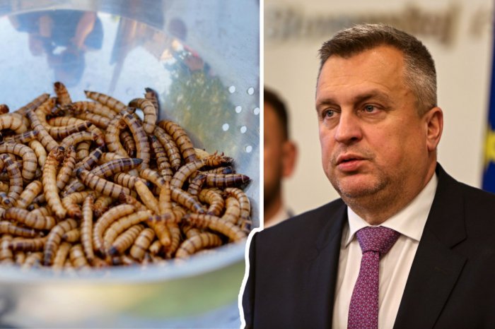 Ilustračný obrázok k článku HMYZ v potravinách? SNS chce, aby to výrobcovia a predajcovia viditeľne OZNAČOVALI