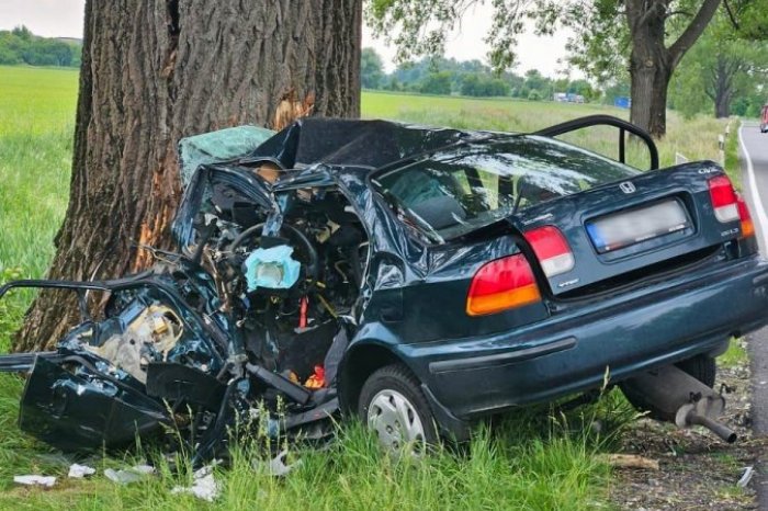 Ilustračný obrázok k článku Ďalší VYHASNUTÝ život na ceste: Muž neprežil NÁRAZ do stromu