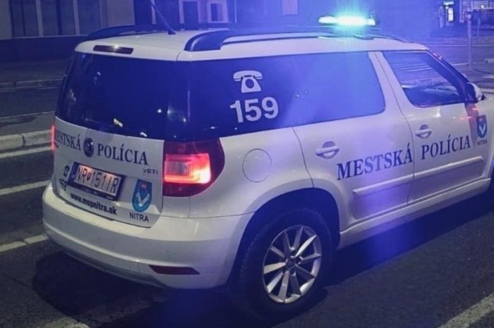 Ilustračný obrázok k článku V tomto stave nechcel stretnúť policajtov: CHLAPEC mal v krvi 1,94 promile!