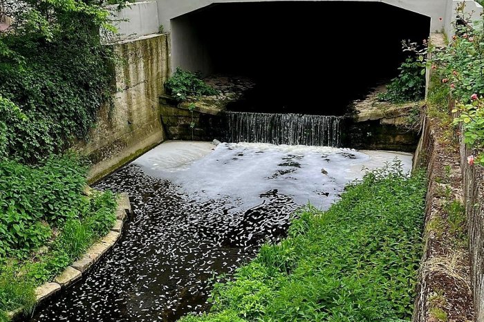 Ilustračný obrázok k článku Čo spôsobilo penu v toku Trnávky? Inšpekcia to už VIE! Teraz hľadá pôvodcu