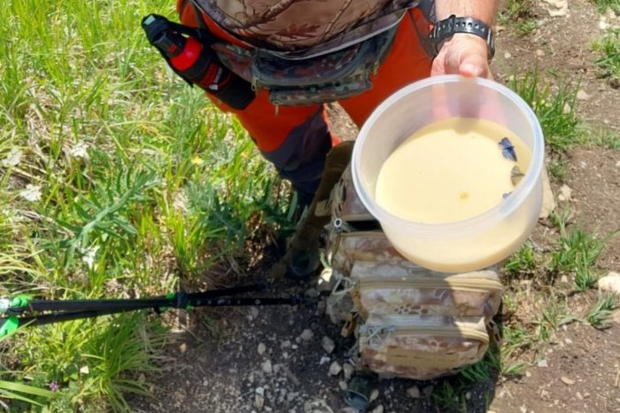 Ilustračný obrázok k článku Čecha chytili priamo pri čine: V TANAP-e chytal chránené motýle a nebolo to prvýkrát