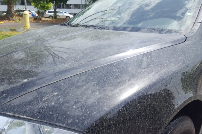 Ilustračný obrázok k článku Nad Slovensko sa opäť dostal SAHARSKÝ prach! Padať bude aj KRVAVÝ dážď