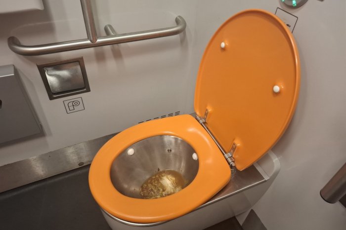 Ilustračný obrázok k článku Nový Panter na trase z Prešova: OTRAS! Nespláchnuté toalety vo vlaku ZDVÍHAJÚ žalúdok