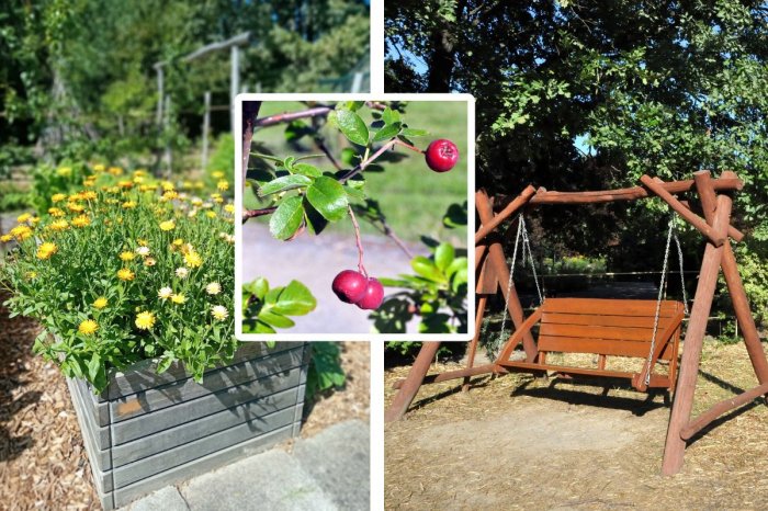 Ilustračný obrázok k článku JEDINEČNÝ zážitok: V Permakultúrnej záhrade SPU môžete OCHUTNAŤ aj jedlé kvety