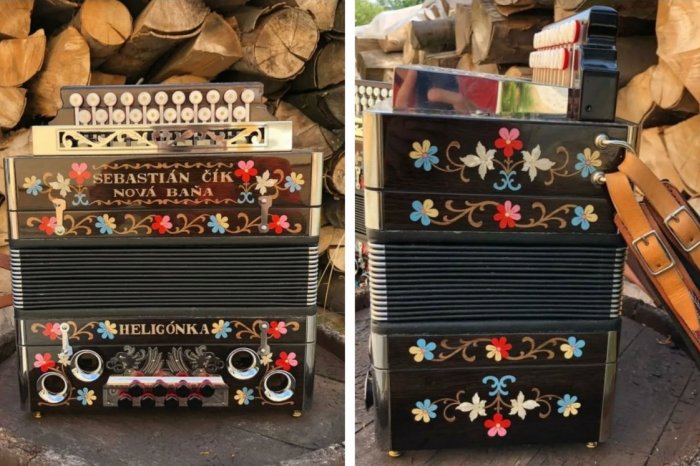 Ilustračný obrázok k článku Polícia PROSÍ o pomoc pri PÁTRANÍ: Hľadá VZÁCNU heligónku, FOTO