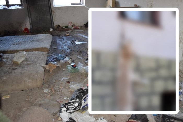 Ilustračný obrázok k článku OHAVNÝ prípad: VYHLADOVANÝ pes sa pokúsil utiecť! OBESIL sa pri skoku z okna