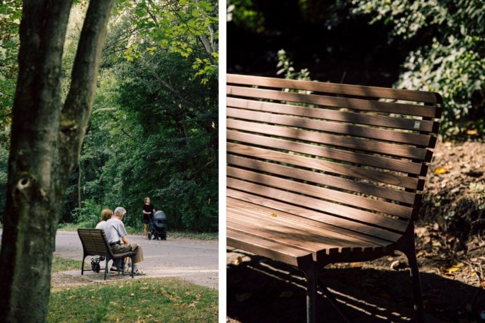 Ilustračný obrázok k článku Všimli ste si to aj vy? V petržalskom lesoparku pribudli NOVÉ lavičky!