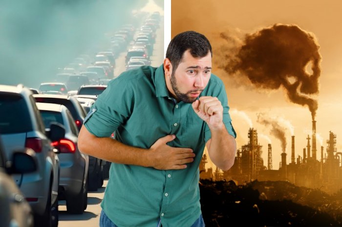 Ilustračný obrázok k článku Časť Slovákov priznala zdravotné PROBLÉMY! Čo podľa nich NAJVIAC znečisťuje ovzdušie?
