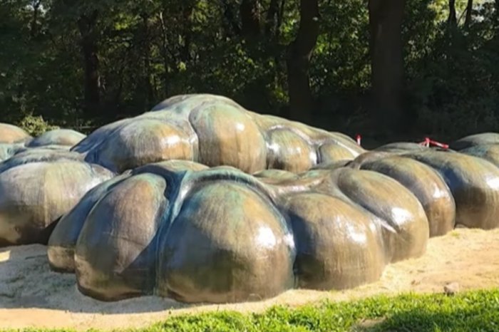 Ilustračný obrázok k článku Kuriózna novinka v ZOO Bratislava: Pribudla tam obrovská socha ČREVA