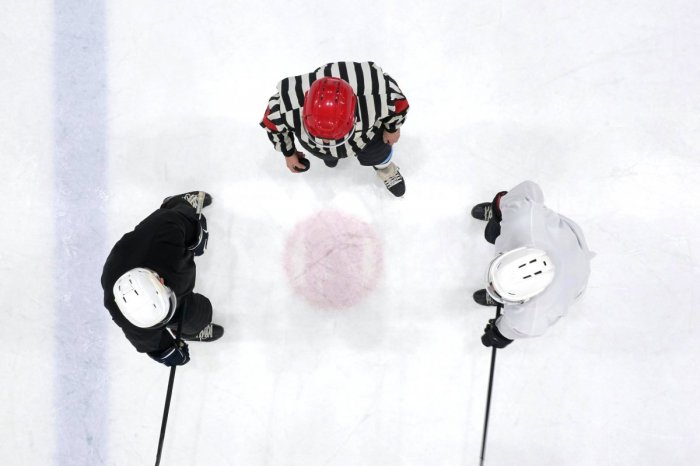 Ilustračný obrázok k článku Zašlo to priďaleko! Hokejovým rozhodcom sa vyhrážali SMRŤOU: Dostali policajnú OCHRANU