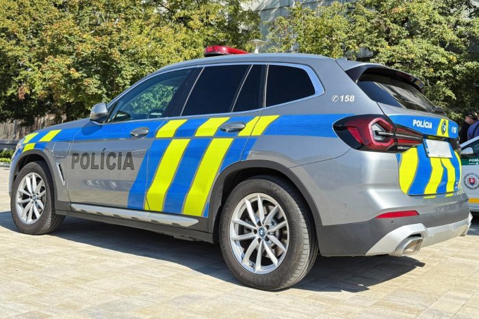 Ilustračný obrázok k článku Všímavý svedok ZALARMOVAL políciu: Zabránil tým možnej TRAGÉDII!