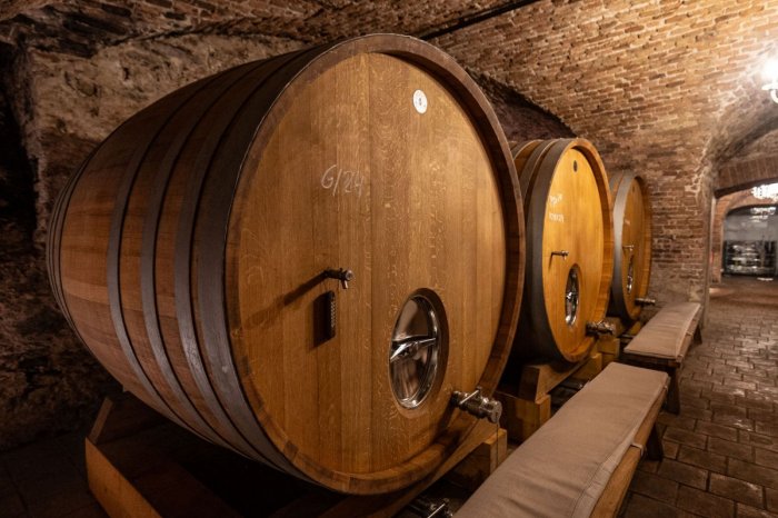 Ilustračný obrázok k článku Traja ľudia sa PRIOTRÁVILI v pivnici: Životy zrejme ZACHRÁNILA duchaprítomnosť ženy