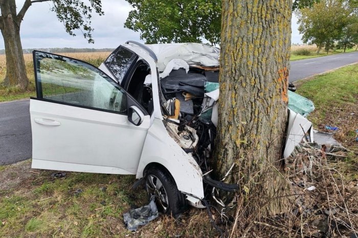 Ilustračný obrázok k článku TRAGÉDIA na rovnej ceste: Vodič čelne NARAZIL do stromu, neprežil