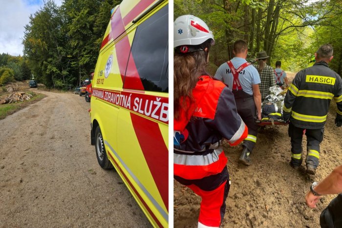 Ilustračný obrázok k článku DESIVÝ úraz pri pílení stromu: Muža ZASIAHOL konár a spôsobil mu HROZIVÉ zranenie, FOTO