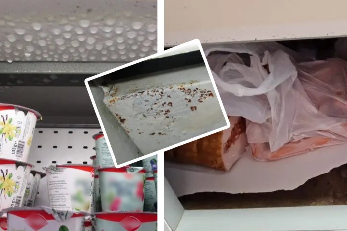 Ilustračný obrázok k článku ŠPINA a predaj PO dátume spotreby: Inšpektori nabehli do obchodov! Padli aj POKUTY