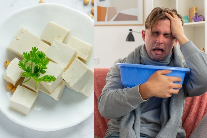 Ilustračný obrázok k článku Z predaja okamžite SŤAHUJÚ tofu! Môže spôsobiť ZVRACANIE a HNAČKU