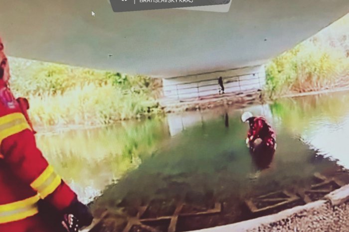 Ilustračný obrázok k článku HROZNÝ nález pod mostom: V Bratislave objavili mŕtve telo ženy