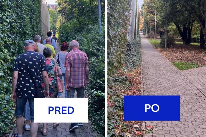 Ilustračný obrázok k článku Prales je minulosťou! Chodník pri N-Centre sa zmenil na nepoznanie