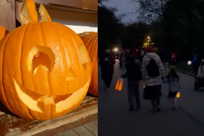 Ilustračný obrázok k článku Tu nemôžete chýbať: Zoo láka na Jesenný festival! Prinesie aj lampiónový sprievod