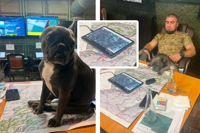 Ilustračný obrázok k článku ŠKANDÁL! Ukrajinský plukovník sa na TikToku pochválil psom, odhalil TAJNÉ mapy