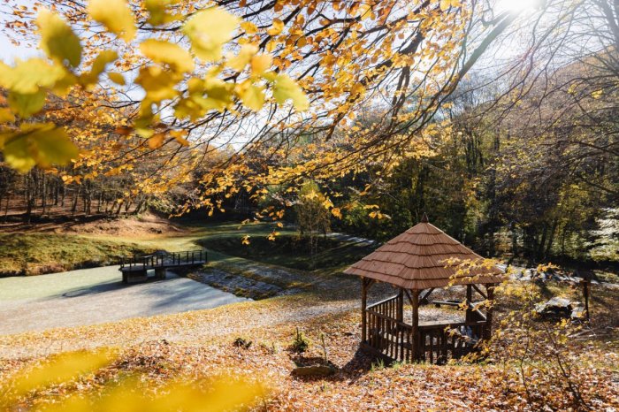 Ilustračný obrázok k článku Radosť pozerať: Obľúbené jazierko v lesoparku prešlo výraznou OBNOVOU!