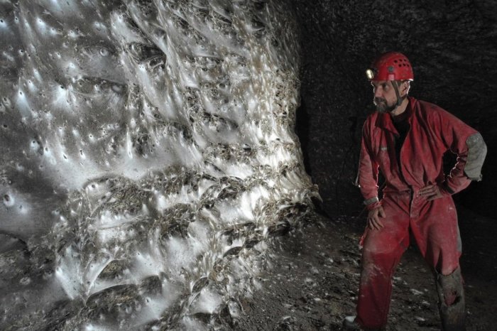 Ilustračný obrázok k článku V Európe objavili NAJVÄČŠIU pavučinu na svete! Žije v nej vyše 100-TISÍC pavúkov