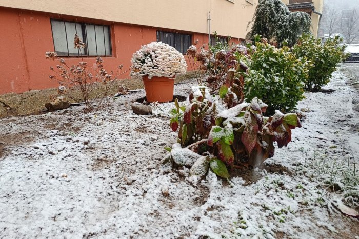 Ilustračný obrázok k článku Vianoce prinesú ZMENU počasia: Príde ochladenie! Dočkáme sa aj snehu?