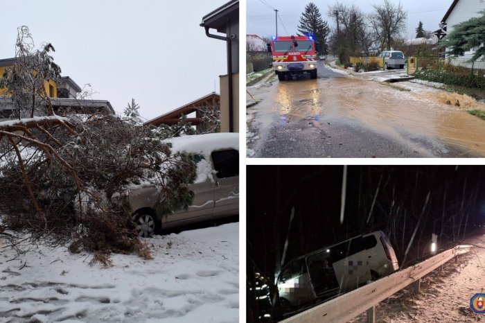 Ilustračný obrázok k článku Hasiči prežili RUŠNÚ noc: Stromy PADALI na autá aj cesty, KDE to bolo NAJKRITICKEJŠIE? FOTO