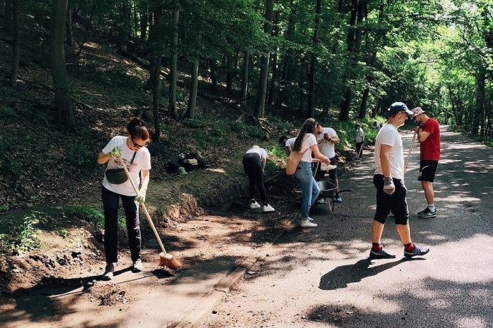 Ilustračný obrázok k článku Bez nich by to nebolo ono! Do aktivít mestských lesov sa zapojilo 1 300 dobrovoľníkov