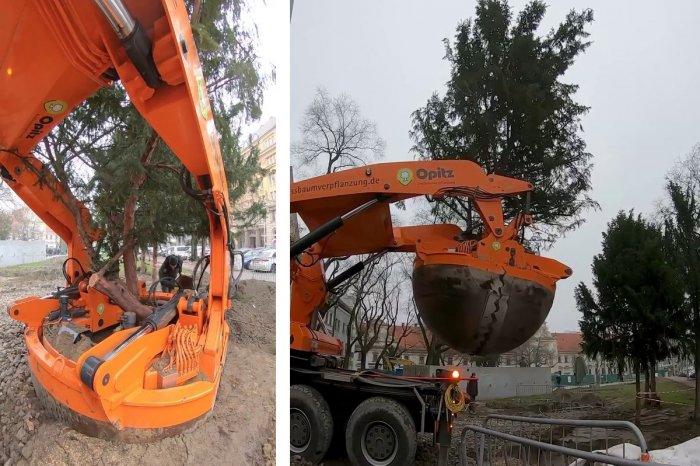 Ilustračný obrázok k článku Práce na prvej etape Živého námestia: PRESÁDZAJÚ niektoré stromy! Pribudnú aj nové