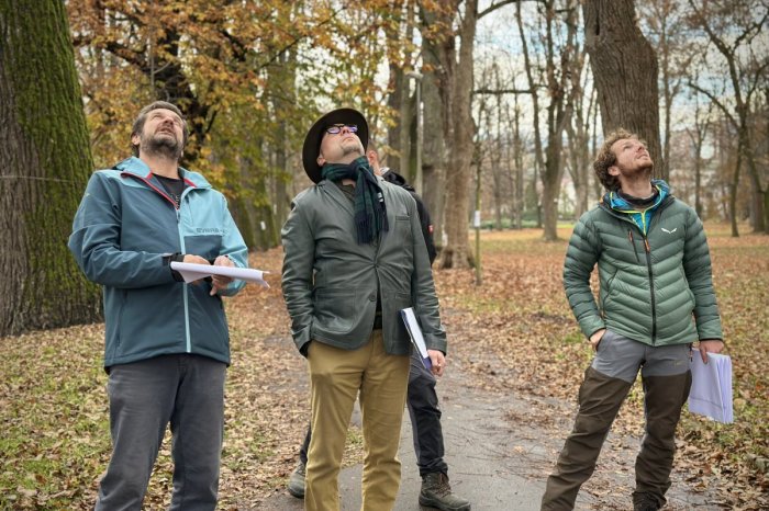 Ilustračný obrázok k článku Nezávislý posudok preukázal NEVYHNUTNOSŤ bezpečnostných VÝRUBOV v parku, tvrdí mesto