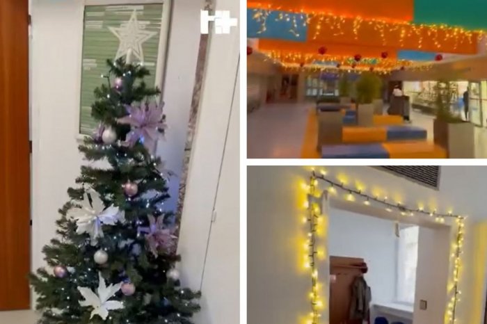 Ilustračný obrázok k článku VIANOČNÁ nádhera v nemocnici: Chodby rozžiarili VÝZDOBA aj STROMČEKY, VIDEO