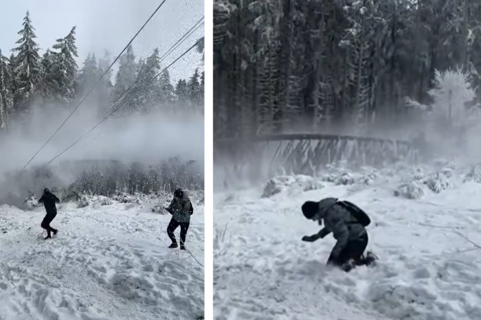 Ilustračný obrázok k článku DRÁMA v Česku: Strom sa ZRÚTIL na lanovku! Takmer zasiahol turistov, VIDEO