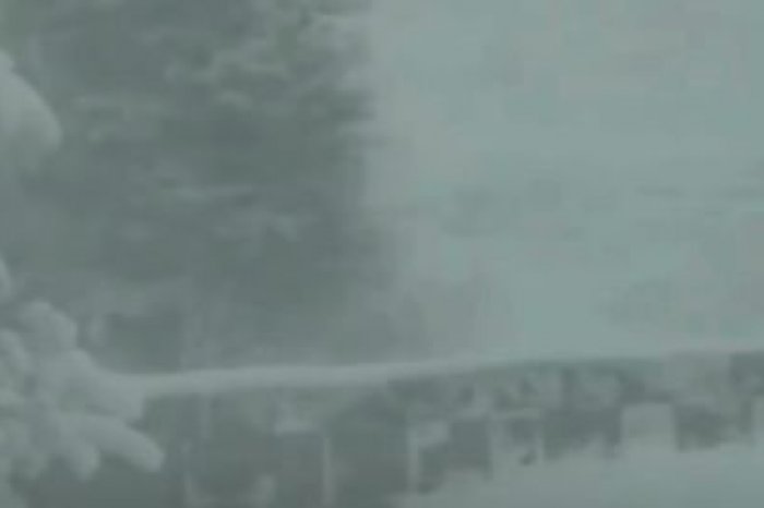 Ilustračný obrázok k článku Situácia je VÁŽNA! V Tatrách zúri ORKÁN, vietor VYVRACIA stromy, VIDEO