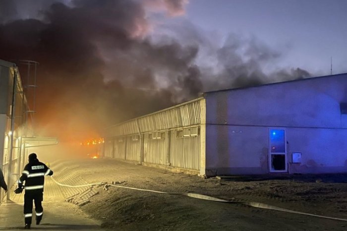 Ilustračný obrázok k článku Halu so ZVIERATAMI zachvátil POŽIAR: S ohňom BOJUJÚ desiatky hasičov, VIDEO