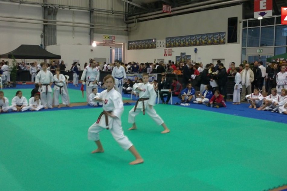 MS karate 2010