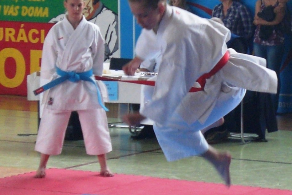 Karate PD