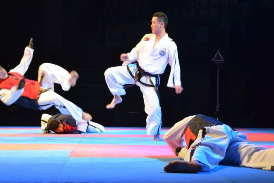 Demonštrácia bojových umení