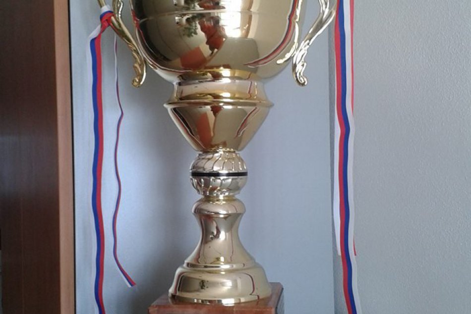 nové oceňovanie hokejbalistov