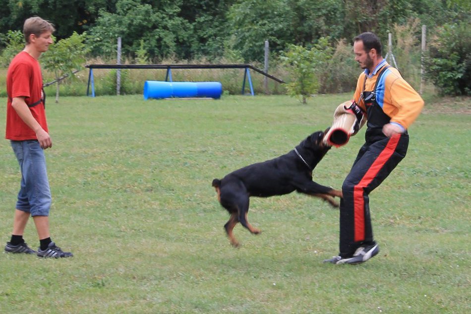 Deň otvorených dverí v Kynologickom klube