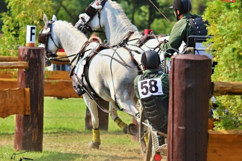 Majstrovstvá sveta v Topoľčiankach: Maratón - 3. deň