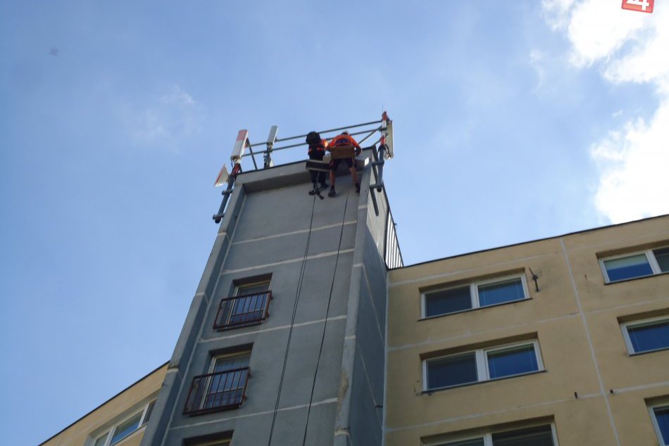 Záchrana netopierov